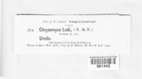 Chrysomyxa ledi image